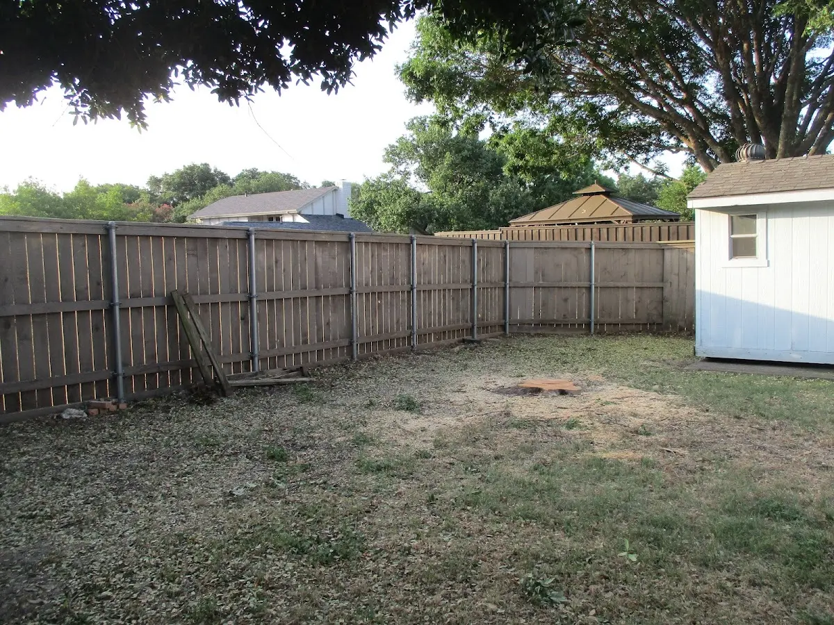 Cleared yard after professional tree removal in Jonesville